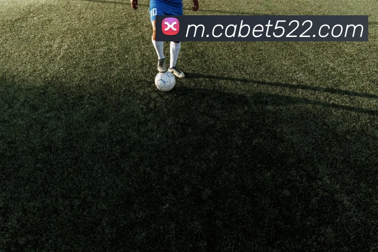 奖项图3